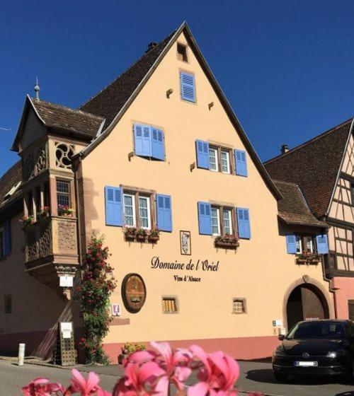 Les Vendangeurs Apartment Niedermorschwihr Exterior photo